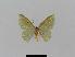  ( - BC EF Lep 00777)  @13 [ ] Copyright (2010) Unspecified Research Collection of Egbert Friedrich