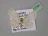  ( - BC ZSM Lep 13791)  @12 [ ] CreativeCommons - Attribution Non-Commercial Share-Alike (2010) Unspecified SNSB, Zoologische Staatssammlung Muenchen