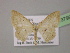  ( - BC ZSM Lep 13799)  @12 [ ] CreativeCommons - Attribution Non-Commercial Share-Alike (2010) Unspecified SNSB, Zoologische Staatssammlung Muenchen