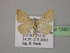  ( - BC ZSM Lep 13801)  @11 [ ] CreativeCommons - Attribution Non-Commercial Share-Alike (2010) Unspecified SNSB, Zoologische Staatssammlung Muenchen