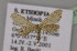  (Idaea AH04Et - BC ZSM Lep 13824)  @13 [ ] CreativeCommons - Attribution Non-Commercial Share-Alike (2010) Unspecified SNSB, Zoologische Staatssammlung Muenchen