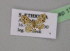  (Idaea associataAH01Et - BC ZSM Lep 13831)  @11 [ ] CreativeCommons - Attribution Non-Commercial Share-Alike (2010) Unspecified SNSB, Zoologische Staatssammlung Muenchen
