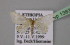  (Idaea pulverariaAH01Et - BC ZSM Lep 13838)  @11 [ ] CreativeCommons - Attribution Non-Commercial Share-Alike (2010) Unspecified SNSB, Zoologische Staatssammlung Muenchen