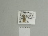  ( - BC ZSM Lep 84579)  @12 [ ] CreativeCommons - Attribution Non-Commercial Share-Alike (2014) Axel Hausmann/Bavarian State Collection of Zoology (ZSM) SNSB, Zoologische Staatssammlung Muenchen
