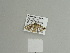  ( - BC ZSM Lep 84607)  @12 [ ] CreativeCommons - Attribution Non-Commercial Share-Alike (2014) Axel Hausmann/Bavarian State Collection of Zoology (ZSM) SNSB, Zoologische Staatssammlung Muenchen