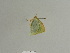  ( - BC ZSM Lep 84750)  @12 [ ] CreativeCommons - Attribution Non-Commercial Share-Alike (2014) Axel Hausmann/Bavarian State Collection of Zoology (ZSM) SNSB, Zoologische Staatssammlung Muenchen