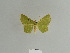 ( - BC ZSM Lep 84857)  @13 [ ] CreativeCommons - Attribution Non-Commercial Share-Alike (2014) Axel Hausmann/Bavarian State Collection of Zoology (ZSM) SNSB, Zoologische Staatssammlung Muenchen