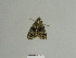  ( - BC ZSM Lep 84904)  @13 [ ] CreativeCommons - Attribution Non-Commercial Share-Alike (2014) Axel Hausmann/Bavarian State Collection of Zoology (ZSM) SNSB, Zoologische Staatssammlung Muenchen