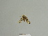  ( - BC ZSM Lep 84940)  @12 [ ] CreativeCommons - Attribution Non-Commercial Share-Alike (2014) Axel Hausmann/Bavarian State Collection of Zoology (ZSM) SNSB, Zoologische Staatssammlung Muenchen