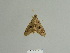  ( - BC ZSM Lep 85041)  @13 [ ] CreativeCommons - Attribution Non-Commercial Share-Alike (2014) Axel Hausmann/Bavarian State Collection of Zoology (ZSM) SNSB, Zoologische Staatssammlung Muenchen