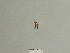  ( - BC ZSM Lep 85070)  @12 [ ] CreativeCommons - Attribution Non-Commercial Share-Alike (2014) Axel Hausmann/Bavarian State Collection of Zoology (ZSM) SNSB, Zoologische Staatssammlung Muenchen