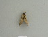  ( - BC ZSM Lep 85107)  @12 [ ] CreativeCommons - Attribution Non-Commercial Share-Alike (2014) Axel Hausmann/Bavarian State Collection of Zoology (ZSM) SNSB, Zoologische Staatssammlung Muenchen