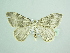  ( - BC ZSM Lep 88030)  @13 [ ] CreativeCommons - Attribution Non-Commercial Share-Alike (2015) Axel Hausmann/Bavarian State Collection of Zoology (ZSM) SNSB, Zoologische Staatssammlung Muenchen
