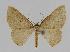 ( - BC EF Lep 00848)  @14 [ ] Copyright (2010) Unspecified Research Collection of Egbert Friedrich