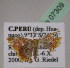  ( - BC ZSM Lep 07309)  @13 [ ] CreativeCommons - Attribution Non-Commercial Share-Alike (2010) Unspecified SNSB, Zoologische Staatssammlung Muenchen