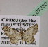  ( - BC ZSM Lep 07330)  @12 [ ] CreativeCommons - Attribution Non-Commercial Share-Alike (2010) Unspecified SNSB, Zoologische Staatssammlung Muenchen