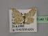  (Idaea dilutaria - BC ZSM Lep 12878)  @14 [ ] CreativeCommons - Attribution Non-Commercial Share-Alike (2010) Unspecified SNSB, Zoologische Staatssammlung Muenchen