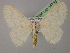  ( - BC ZSM Lep 14753)  @14 [ ] CreativeCommons - Attribution Non-Commercial Share-Alike (2010) Unspecified SNSB, Zoologische Staatssammlung Muenchen