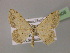  ( - BC ZSM Lep 14808)  @14 [ ] CreativeCommons - Attribution Non-Commercial Share-Alike (2010) Unspecified SNSB, Zoologische Staatssammlung Muenchen