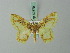  ( - BC ZSM Lep 69579)  @11 [ ] CreativeCommons - Attribution Non-Commercial Share-Alike (2013) Axel Hausmann/Bavarian State Collection of Zoology (ZSM) SNSB, Zoologische Staatssammlung Muenchen