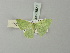  ( - BC ZSM Lep 69828)  @11 [ ] CreativeCommons - Attribution Non-Commercial Share-Alike (2013) Axel Hausmann/Bavarian State Collection of Zoology (ZSM) SNSB, Zoologische Staatssammlung Muenchen