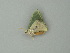  ( - BC ZSM Lep 76589)  @12 [ ] CreativeCommons - Attribution Non-Commercial Share-Alike (2013) Axel Hausmann/Bavarian State Collection of Zoology (ZSM) SNSB, Zoologische Staatssammlung Muenchen