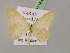  ( - BC ZSM Lep 07164)  @14 [ ] CreativeCommons - Attribution Non-Commercial Share-Alike (2010) Unspecified SNSB, Zoologische Staatssammlung Muenchen