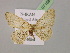  ( - BC ZSM Lep 07168)  @12 [ ] CreativeCommons - Attribution Non-Commercial Share-Alike (2010) Unspecified SNSB, Zoologische Staatssammlung Muenchen