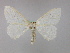  (Somatina pythiariaAH01 - BC ZSM Lep 09945)  @13 [ ] CreativeCommons - Attribution Non-Commercial Share-Alike (2010) Unspecified SNSB, Zoologische Staatssammlung Muenchen