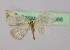  ( - BC ZSM Lep 16566)  @13 [ ] CreativeCommons - Attribution Non-Commercial Share-Alike (2010) Unspecified SNSB, Zoologische Staatssammlung Muenchen