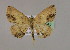  ( - BC ZSM Lep 17045)  @14 [ ] CreativeCommons - Attribution Non-Commercial Share-Alike (2010) Unspecified SNSB, Zoologische Staatssammlung Muenchen