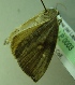  ( - BC LP 0003)  @12 [ ] Unspecified (default): All Rights Reserved  Unspecified Unspecified