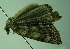  ( - BC LP 0004)  @12 [ ] Unspecified (default): All Rights Reserved  Unspecified Unspecified