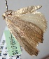  ( - BC LP 0015)  @13 [ ] Unspecified (default): All Rights Reserved  Unspecified Unspecified