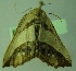  ( - BC LP 0037)  @12 [ ] Unspecified (default): All Rights Reserved  Unspecified Unspecified