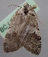  ( - BC LP 0039)  @12 [ ] Unspecified (default): All Rights Reserved  Unspecified Unspecified