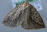  ( - BC LP 0056)  @12 [ ] Unspecified (default): All Rights Reserved  Unspecified Unspecified