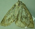  ( - BC LP 0057)  @12 [ ] Unspecified (default): All Rights Reserved  Unspecified Unspecified