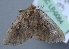  ( - BC LP 0064)  @13 [ ] Unspecified (default): All Rights Reserved  Unspecified Unspecified