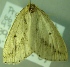  ( - BC LP 0068)  @12 [ ] Unspecified (default): All Rights Reserved  Unspecified Unspecified