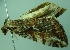  ( - BC LP 0072)  @12 [ ] Unspecified (default): All Rights Reserved  Unspecified Unspecified