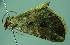  ( - BC LP 0076)  @12 [ ] Unspecified (default): All Rights Reserved  Unspecified Unspecified
