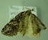  ( - BC LP 0078)  @12 [ ] Unspecified (default): All Rights Reserved  Unspecified Unspecified