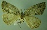  ( - BC LP 0086)  @13 [ ] Unspecified (default): All Rights Reserved  Unspecified Unspecified