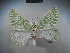  ( - BC NP 0002)  @14 [ ] Copyright (2010) Unspecified Research Collection of Norbert Poell