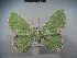  ( - BC NP 0028)  @14 [ ] Copyright (2010) Unspecified Research Collection of Norbert Poell