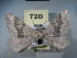  ( - BC NP 0097)  @13 [ ] Copyright (2010) Unspecified Research Collection of Norbert Poell