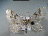  ( - BC NP 0100)  @12 [ ] Copyright (2010) Unspecified Research Collection of Norbert Poell