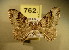  ( - BC NP 0126)  @12 [ ] Copyright (2010) Unspecified Research Collection of Norbert Poell