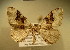  ( - BC NP 0127)  @12 [ ] Copyright (2010) Unspecified Research Collection of Norbert Poell